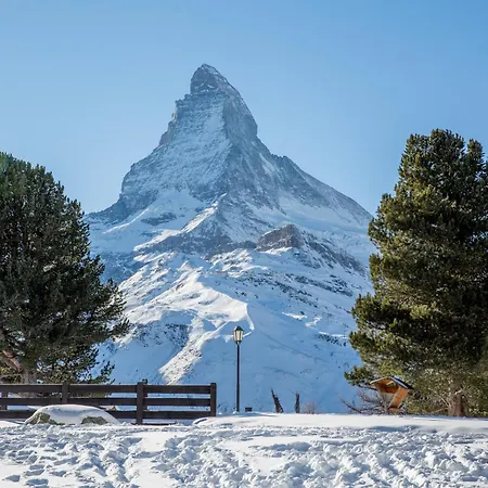 Riffelalp 2222m Ski-in & Ski-out 5*